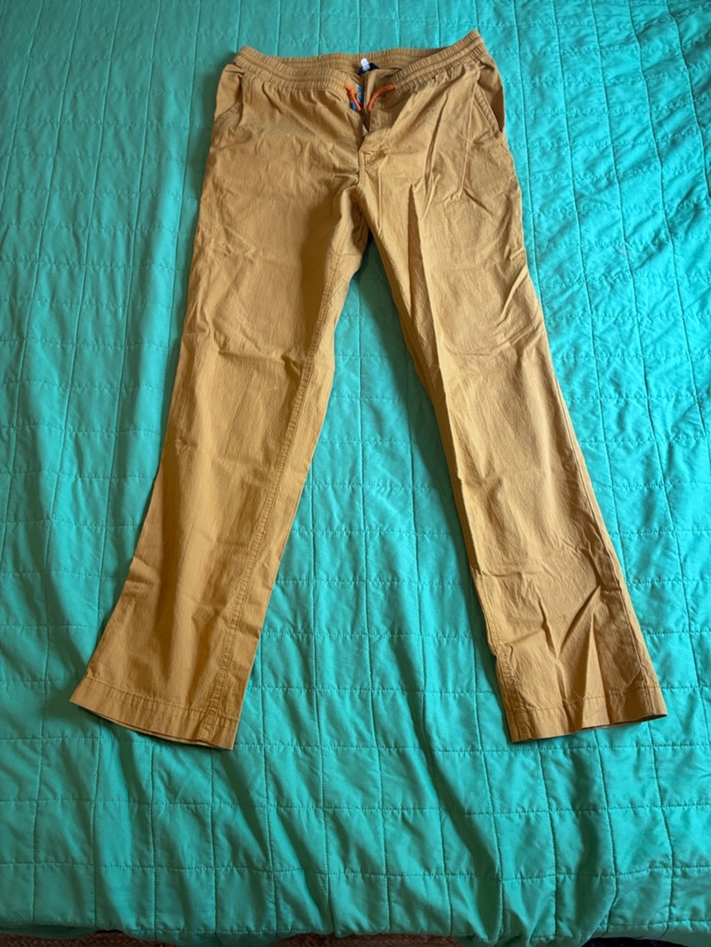 Cotopaxi Pants